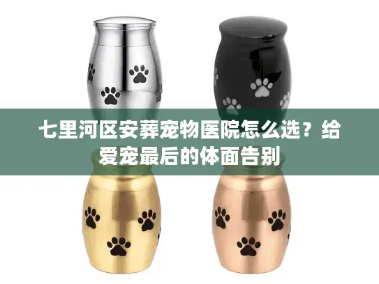 七里河区安葬宠物医院怎么选？给爱宠最后的体面告别