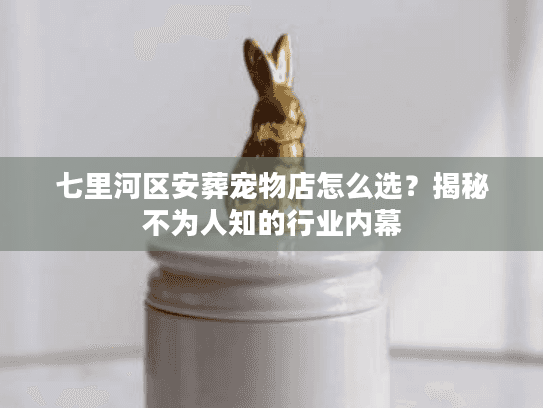 七里河区安葬宠物店怎么选？揭秘不为人知的行业内幕