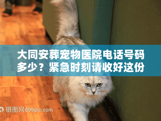 大同安葬宠物医院电话号码多少？紧急时刻请收好这份联系方式