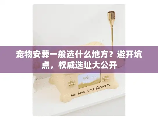 宠物安葬一般选什么地方？避开坑点，权威选址大公开