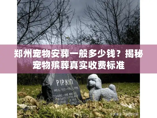 郑州宠物安葬一般多少钱？揭秘宠物殡葬真实收费标准