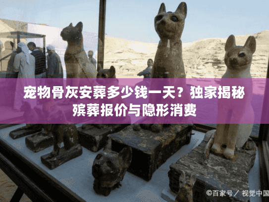 宠物骨灰安葬多少钱一天?独家揭秘殡葬报价与隐形消费 宠物骨灰安葬多少钱一天?独家揭秘殡葬报价与隐形消费