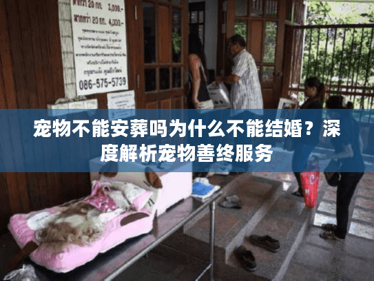 宠物不能安葬吗为什么不能结婚?深度解析宠物善终服务 宠物不能安葬吗为什么不能结婚?深度解析宠物善终服务