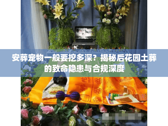 安葬宠物一般要挖多深？揭秘后花园土葬的致命隐患与合规深度