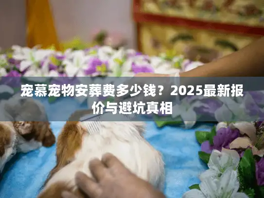 宠慕宠物安葬费多少钱?2025最新报价与避坑真相 宠慕宠物安葬费多少钱?2025最新报价与避坑真相