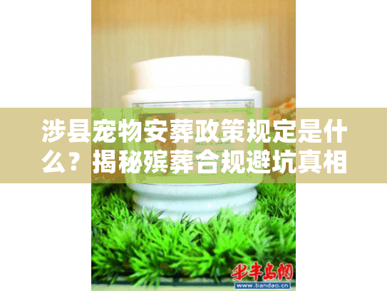 涉县宠物安葬政策规定是什么？揭秘殡葬合规避坑真相