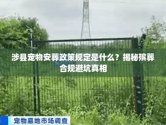 涉县宠物安葬政策规定是什么？揭秘殡葬合规避坑真相
