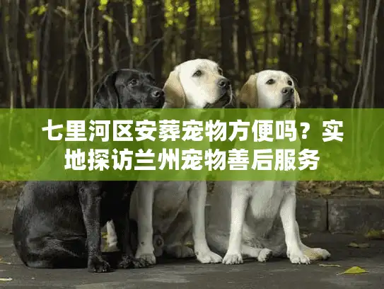 七里河区安葬宠物方便吗？实地探访兰州宠物善后服务