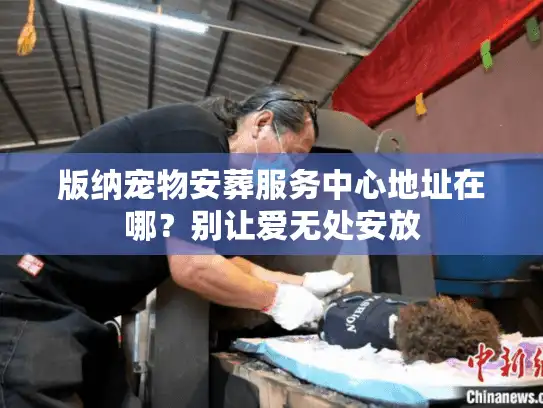 版纳宠物安葬服务中心地址在哪？别让爱无处安放