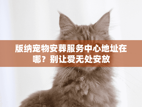 版纳宠物安葬服务中心地址在哪？别让爱无处安放