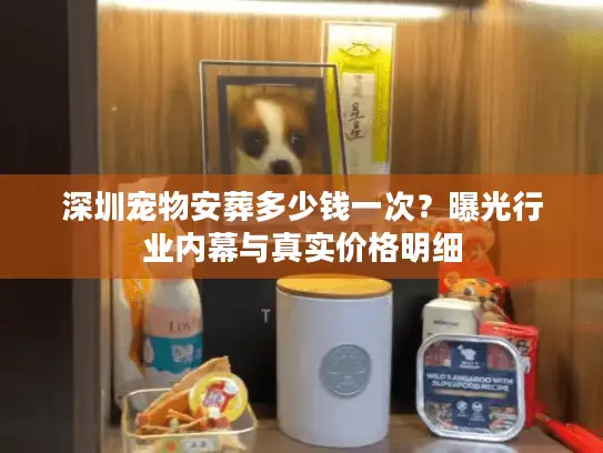 深圳宠物安葬多少钱一次？曝光行业内幕与真实价格明细