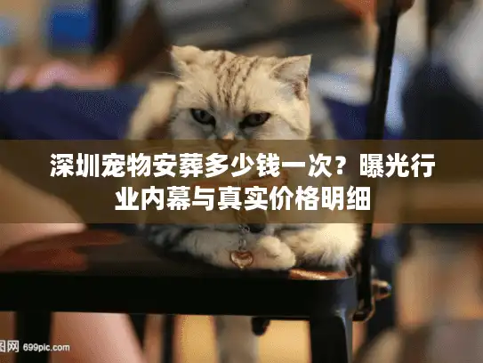 深圳宠物安葬多少钱一次？曝光行业内幕与真实价格明细