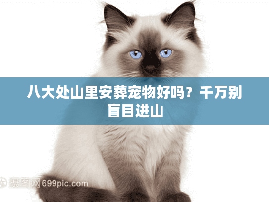 八大处山里安葬宠物好吗？千万别盲目进山