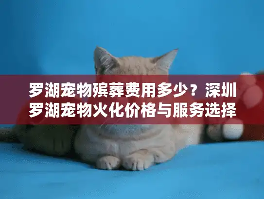 罗湖宠物殡葬费用多少？深圳罗湖宠物火化价格与服务选择指南