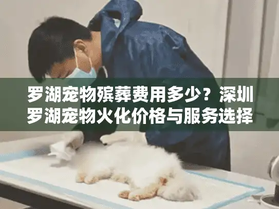 罗湖宠物殡葬费用多少？深圳罗湖宠物火化价格与服务选择指南