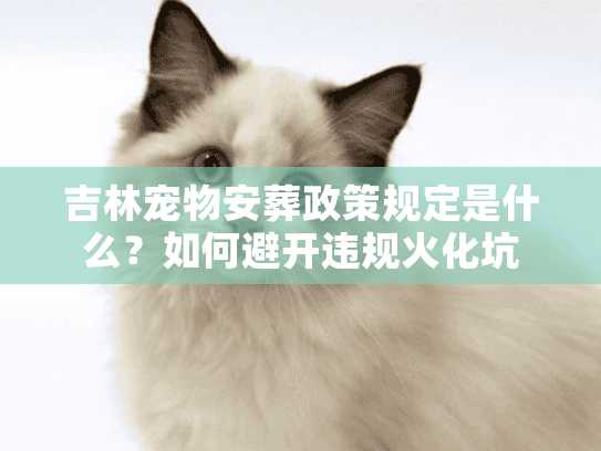 吉林宠物安葬政策规定是什么？如何避开违规火化坑