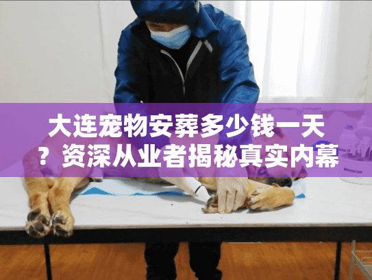 大连宠物安葬多少钱一天？资深从业者揭秘真实内幕