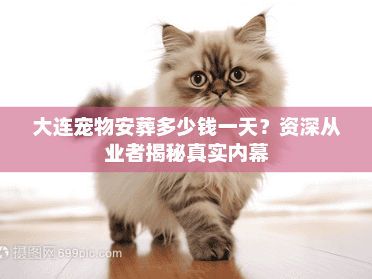大连宠物安葬多少钱一天？资深从业者揭秘真实内幕