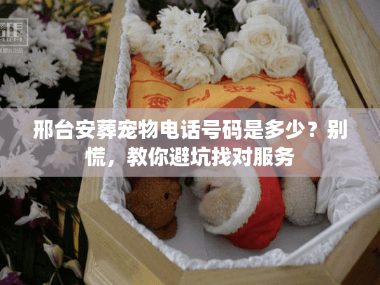 邢台安葬宠物电话号码是多少？别慌，教你避坑找对服务