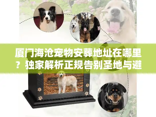 厦门海沧宠物安葬地址在哪里？独家解析正规告别圣地与避坑真相