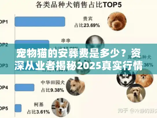 宠物猫的安葬费是多少？资深从业者揭秘2025真实行情