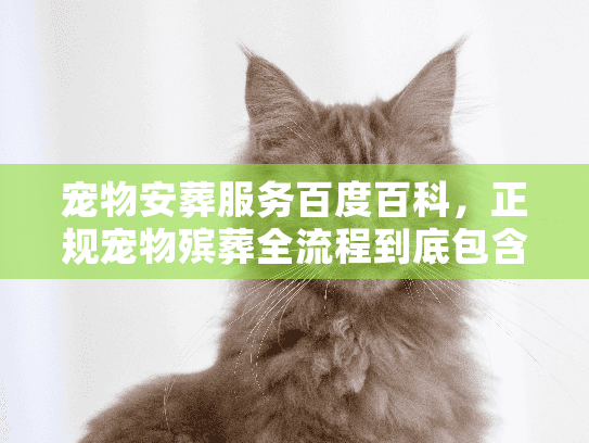 宠物安葬服务百度百科，正规宠物殡葬全流程到底包含哪些隐形消费？