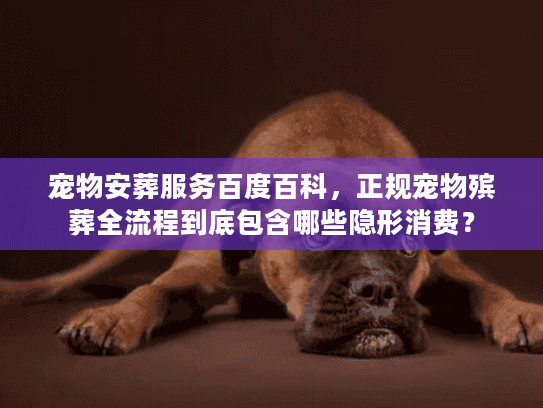 宠物安葬服务百度百科，正规宠物殡葬全流程到底包含哪些隐形消费？