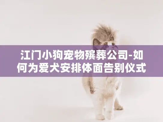 江门小狗宠物殡葬公司-如何为爱犬安排体面告别仪式？
