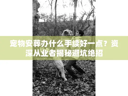 宠物安葬办什么手续好一点？资深从业者揭秘避坑绝招