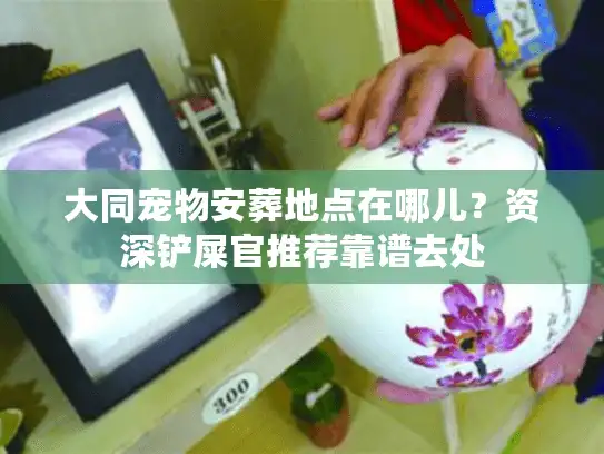 大同宠物安葬地点在哪儿?资深铲屎官推荐靠谱去处 大同宠物安葬地点在哪儿?资深铲屎官推荐靠谱去处