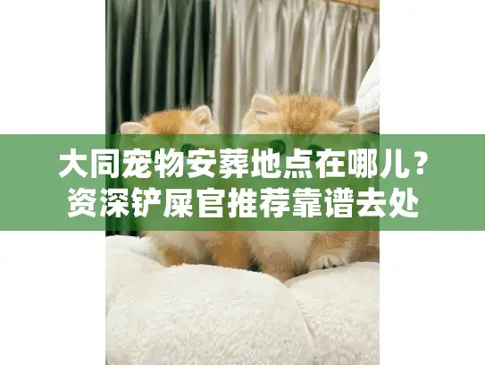 大同宠物安葬地点在哪儿?资深铲屎官推荐靠谱去处 大同宠物安葬地点在哪儿?资深铲屎官推荐靠谱去处