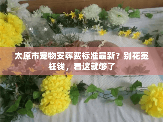 太原市宠物安葬费标准最新？别花冤枉钱，看这就够了