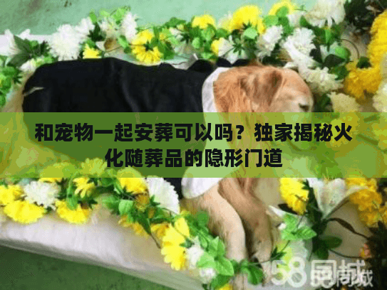 和宠物一起安葬可以吗？独家揭秘火化随葬品的隐形门道