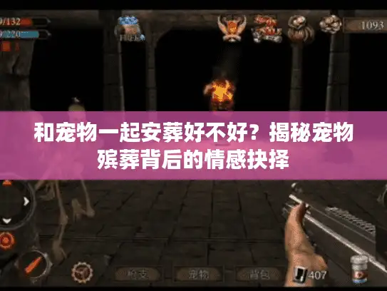 和宠物一起安葬好不好？揭秘宠物殡葬背后的情感抉择