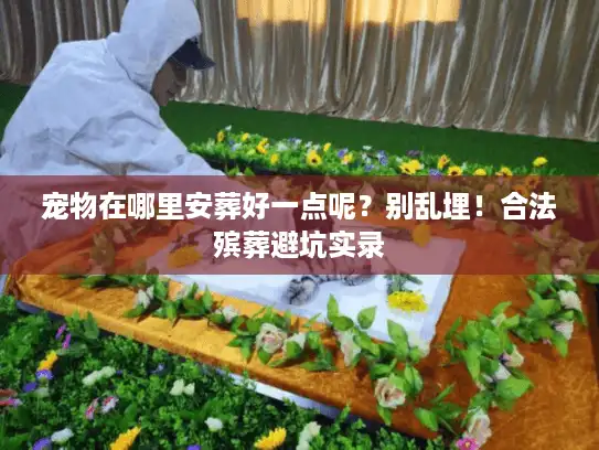宠物在哪里安葬好一点呢？别乱埋！合法殡葬避坑实录