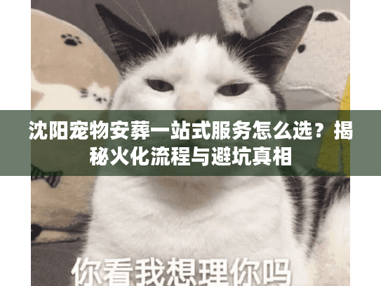 沈阳宠物安葬一站式服务怎么选？揭秘火化流程与避坑真相