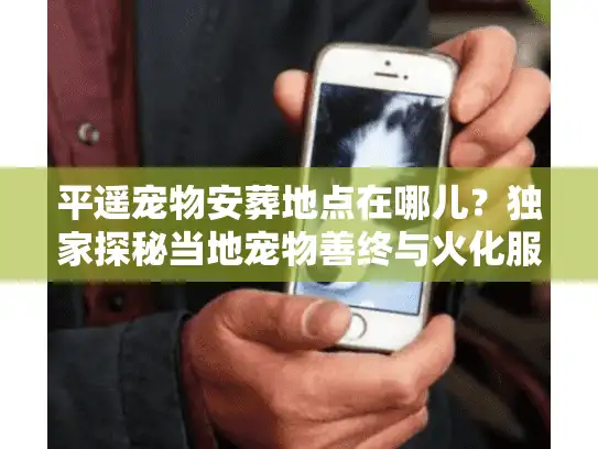 平遥宠物安葬地点在哪儿？独家探秘当地宠物善终与火化服务