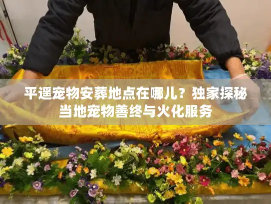平遥宠物安葬地点在哪儿？独家探秘当地宠物善终与火化服务