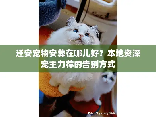 迁安宠物安葬在哪儿好？本地资深宠主力荐的告别方式