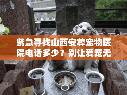 紧急寻找山西安葬宠物医院电话多少？别让爱宠无处安身