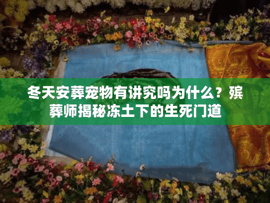 冬天安葬宠物有讲究吗为什么？殡葬师揭秘冻土下的生死门道