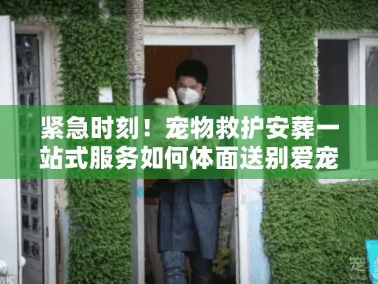 紧急时刻！宠物救护安葬一站式服务如何体面送别爱宠？