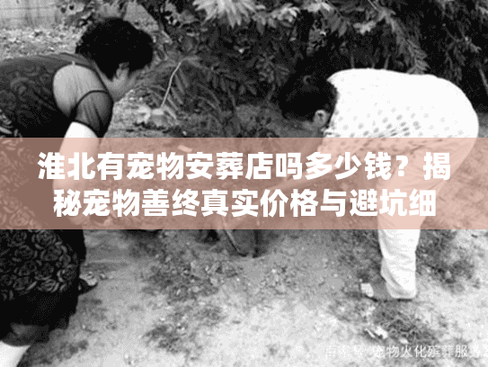 淮北有宠物安葬店吗多少钱？揭秘宠物善终真实价格与避坑细节