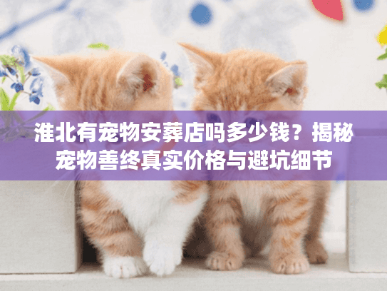 淮北有宠物安葬店吗多少钱？揭秘宠物善终真实价格与避坑细节