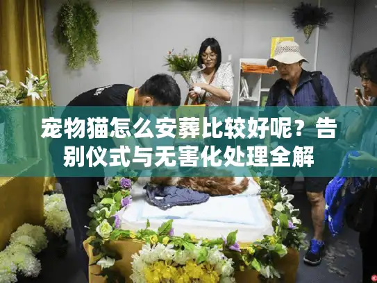 宠物猫怎么安葬比较好呢？告别仪式与无害化处理全解