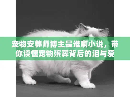 宠物安葬师博主是谁啊小说,带你读懂宠物殡葬背后的泪与爱 宠物安葬师博主是谁啊小说,带你读懂宠物殡葬背后的泪与爱