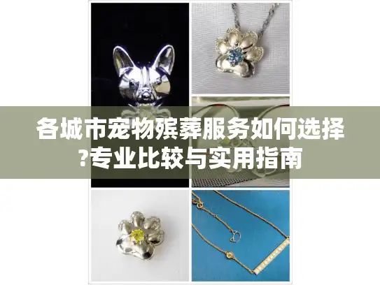 各城市宠物殡葬服务如何选择?专业比较与实用指南