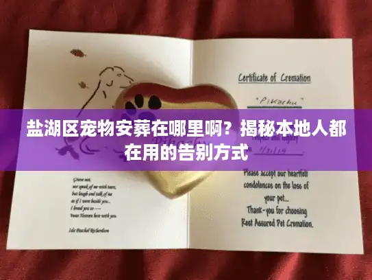 盐湖区宠物安葬在哪里啊？揭秘本地人都在用的告别方式