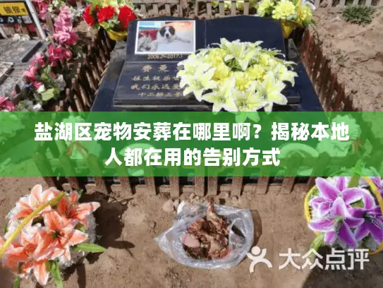 盐湖区宠物安葬在哪里啊？揭秘本地人都在用的告别方式