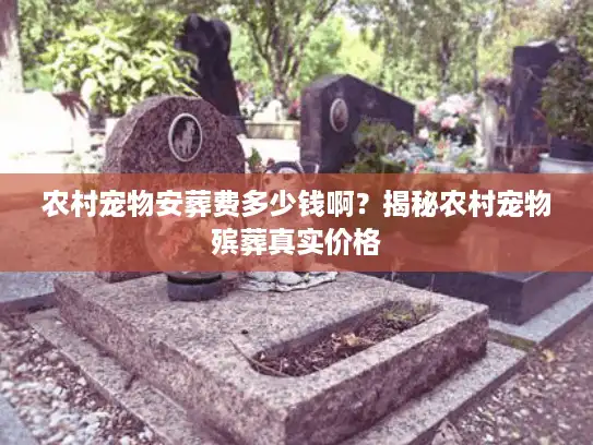 农村宠物安葬费多少钱啊?揭秘农村宠物殡葬真实价格 农村宠物安葬费多少钱啊?揭秘农村宠物殡葬真实价格